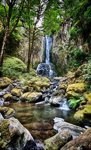 Oregon Coast Range